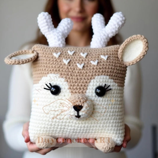 12 In 1 Pillow Crochet Pattern