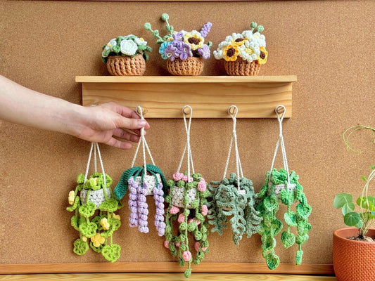 Car Hanging Plant Crochet Pattern - Easy & Creative Design