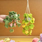 Car Hanging Plant Crochet Pattern - Easy & Creative Design