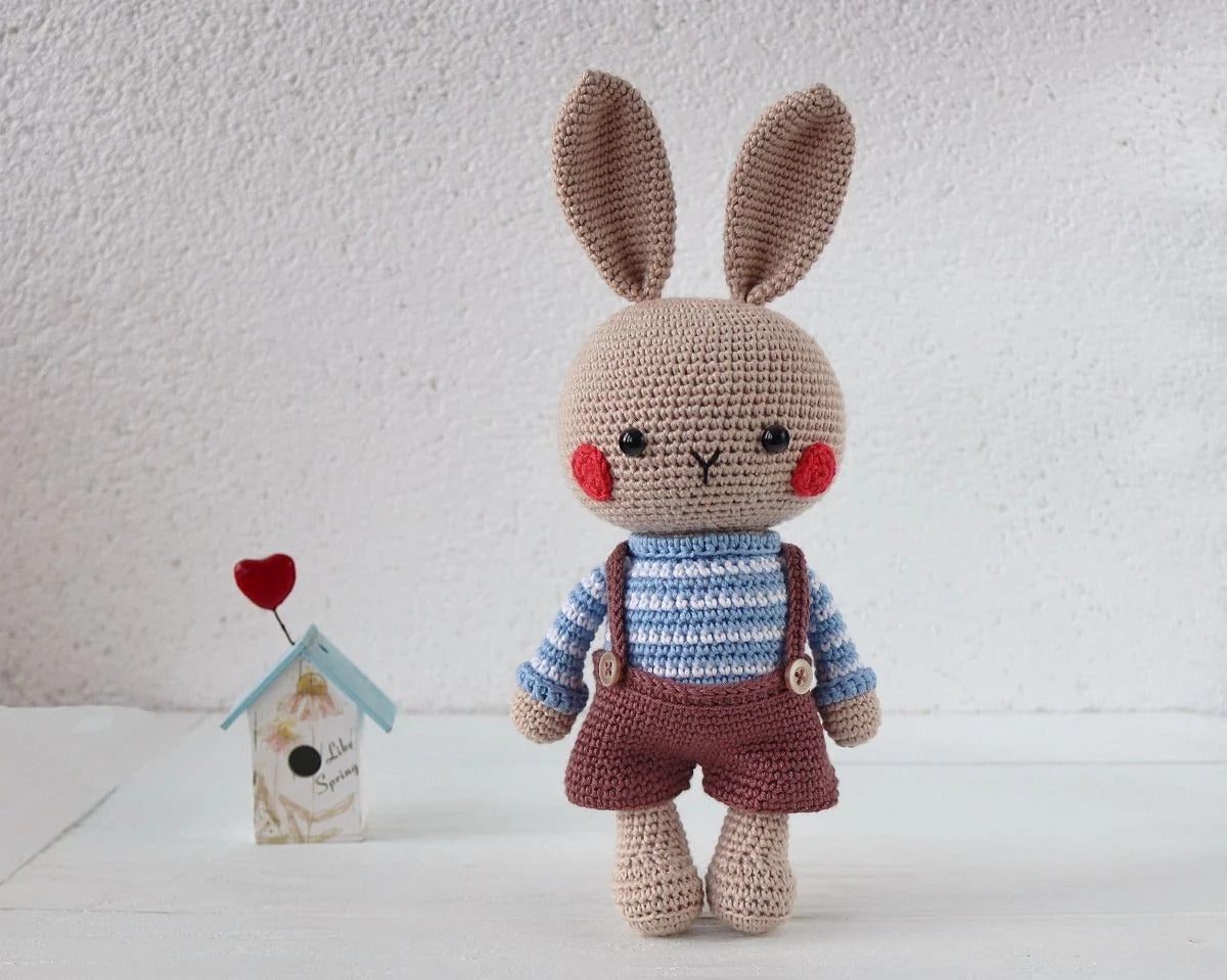 🐰 Eliot the Little Bunny