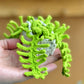 Car Hanging Plant Crochet Pattern - Easy & Creative Design