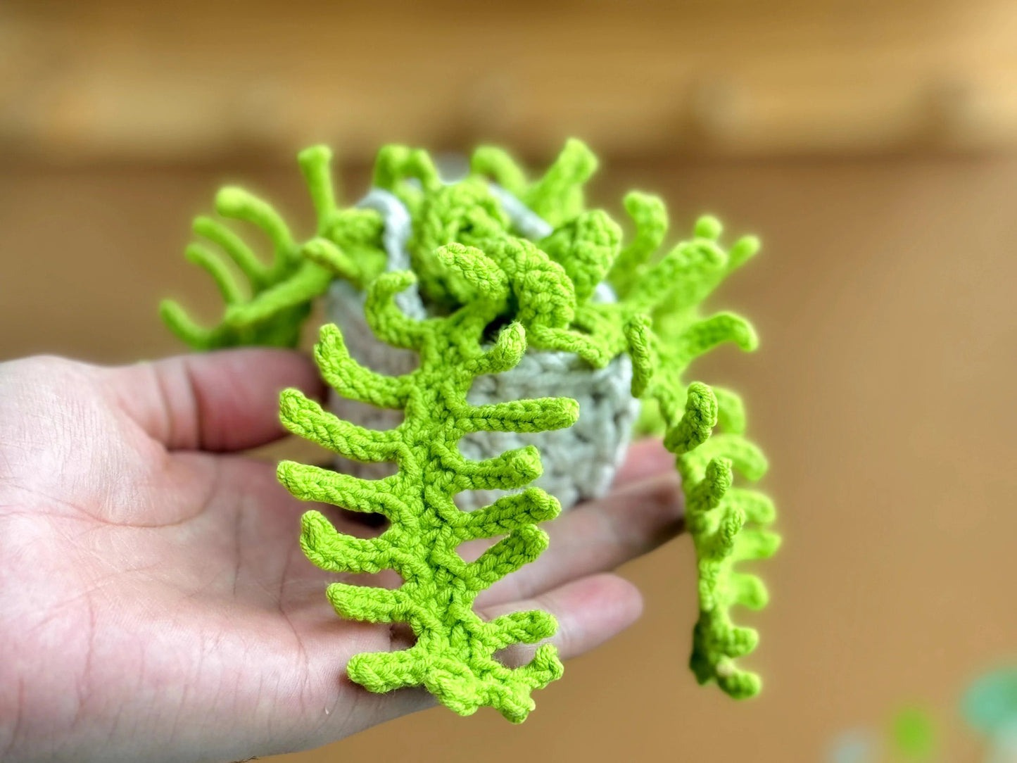 Car Hanging Plant Crochet Pattern - Easy & Creative Design