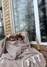 Oliver the Teddy Bear