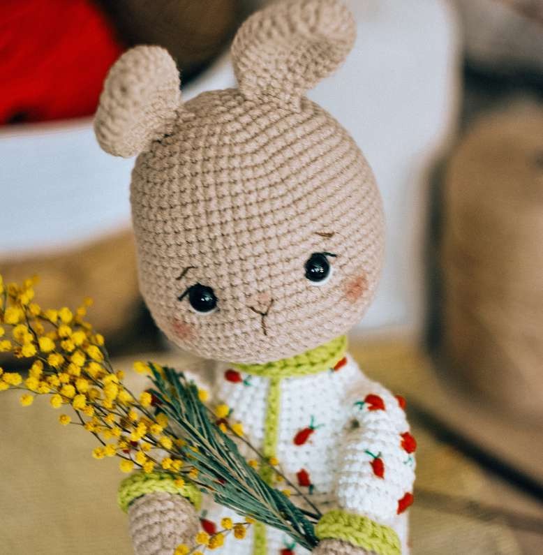 🐇 Carrot Dreams Bunny